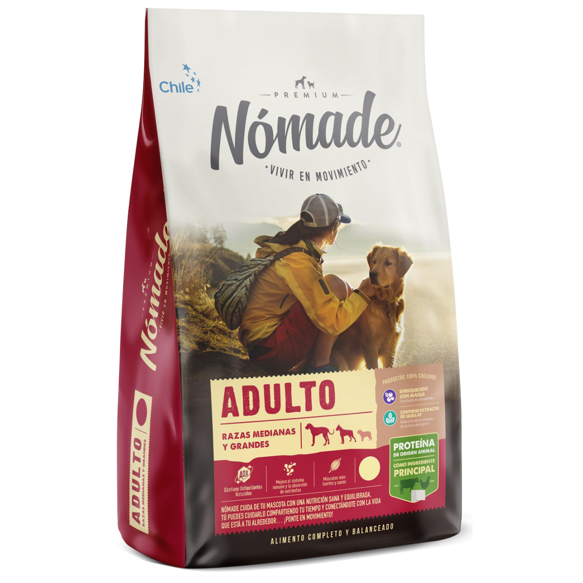nomade-perros-adultos