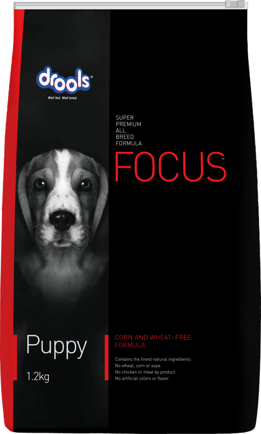 New 1-2 kg Focus - Puppy - Front