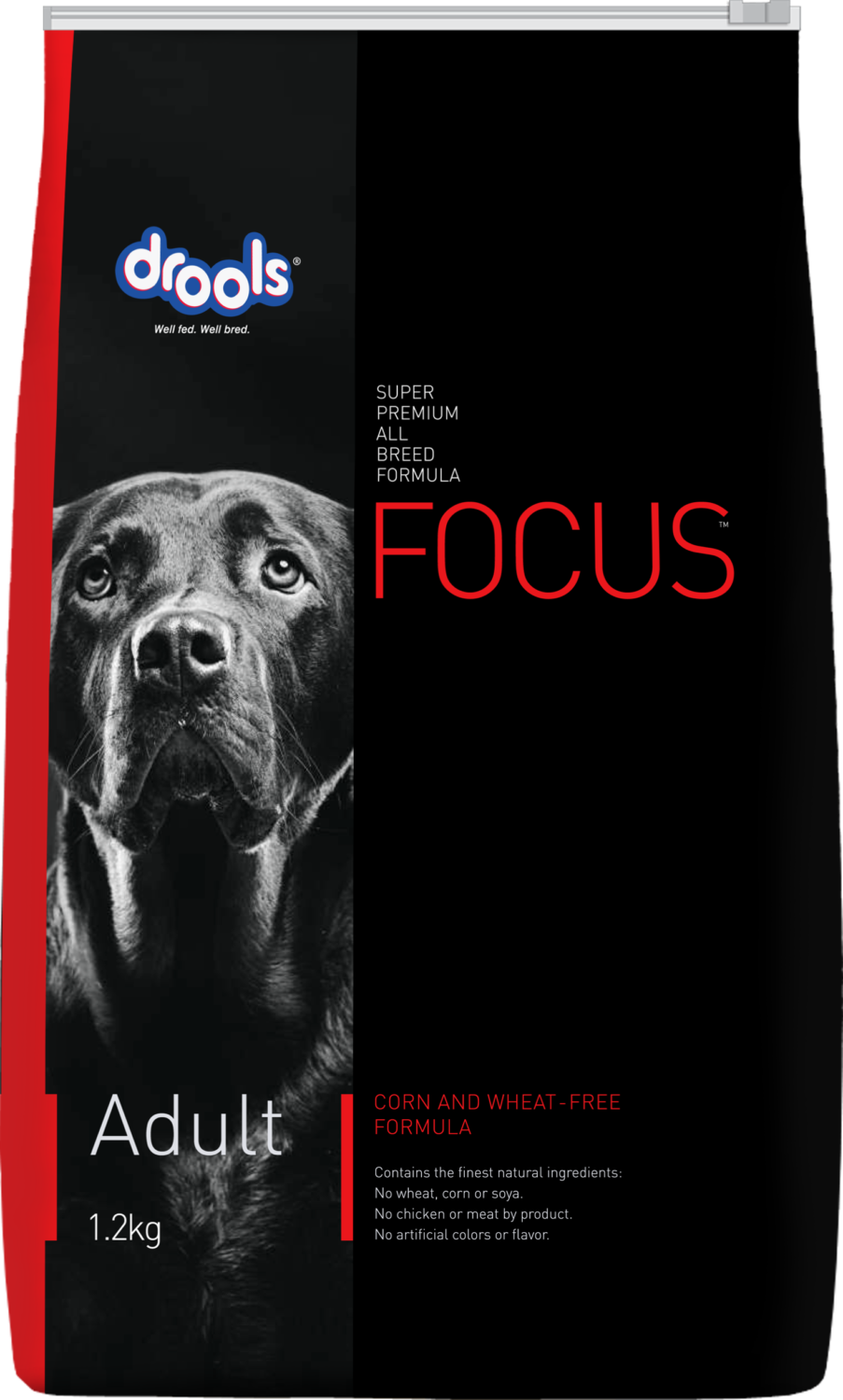 New 1-2 kg Focus - Adult - Front